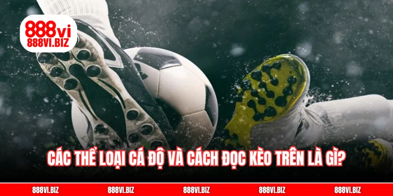 Các thể loại cá độ và cách đọc kèo trên là gì?