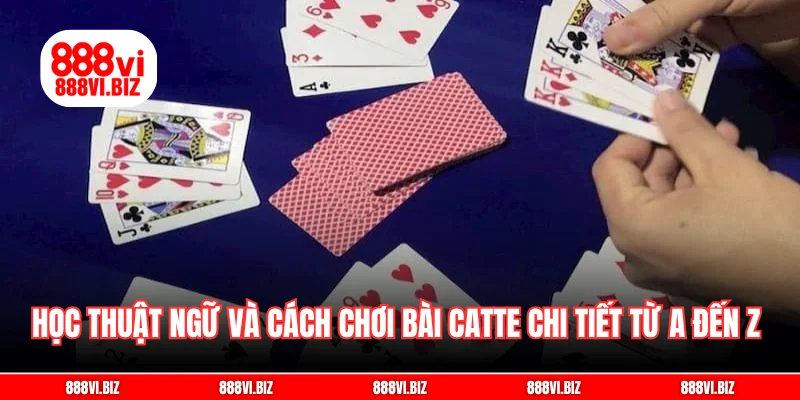 Học thuật ngữ và cách chơi bài catte chi tiết từ A đến Z
