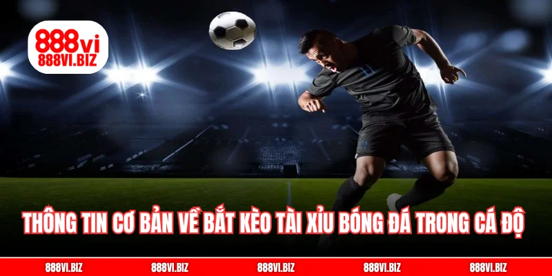 Thông tin cơ bản về bắt kèo tài xỉu bóng đá trong cá độ